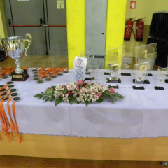 Utrinki z roba igrišča